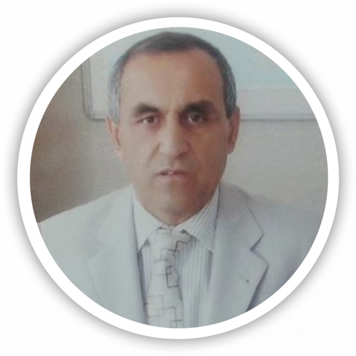 Cemal G&uuml;rsel Toy